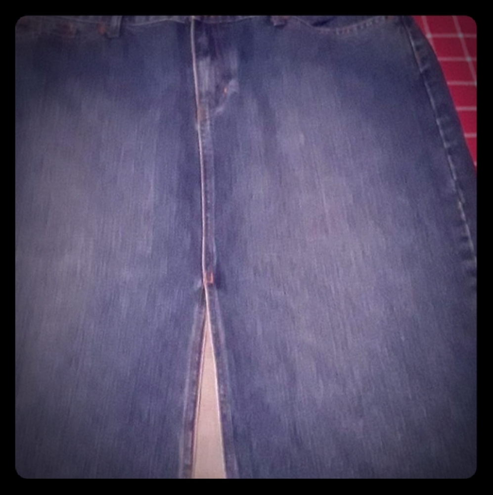 Denim gap skirt